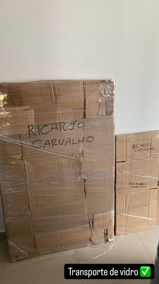 transporte-seguro-mudancas-premium