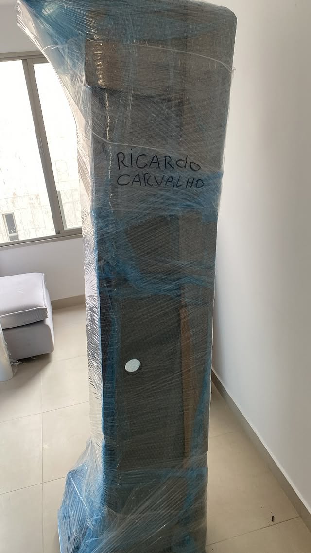 frota-de-caminhoes-mudancas-premium